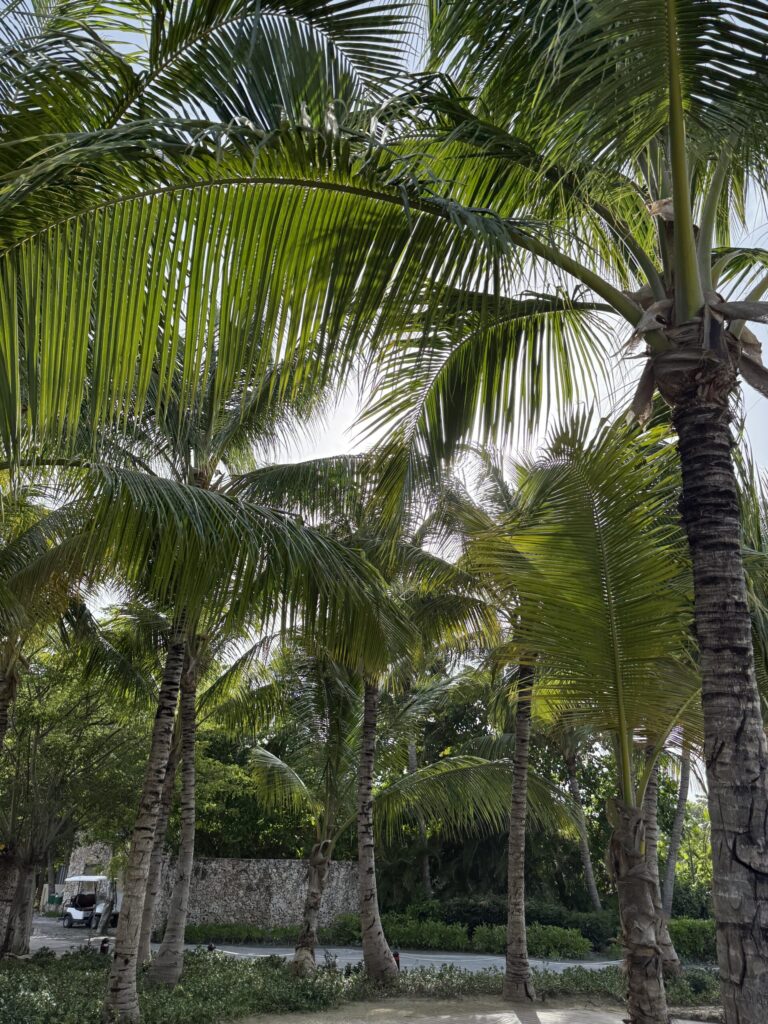 img-Santiago-de-los-Caballeros